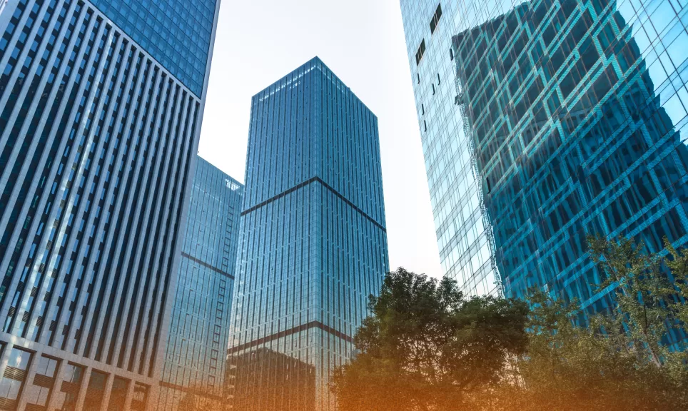 Helping A Leading Australian Bank Beat The Competitors To Top Talent
